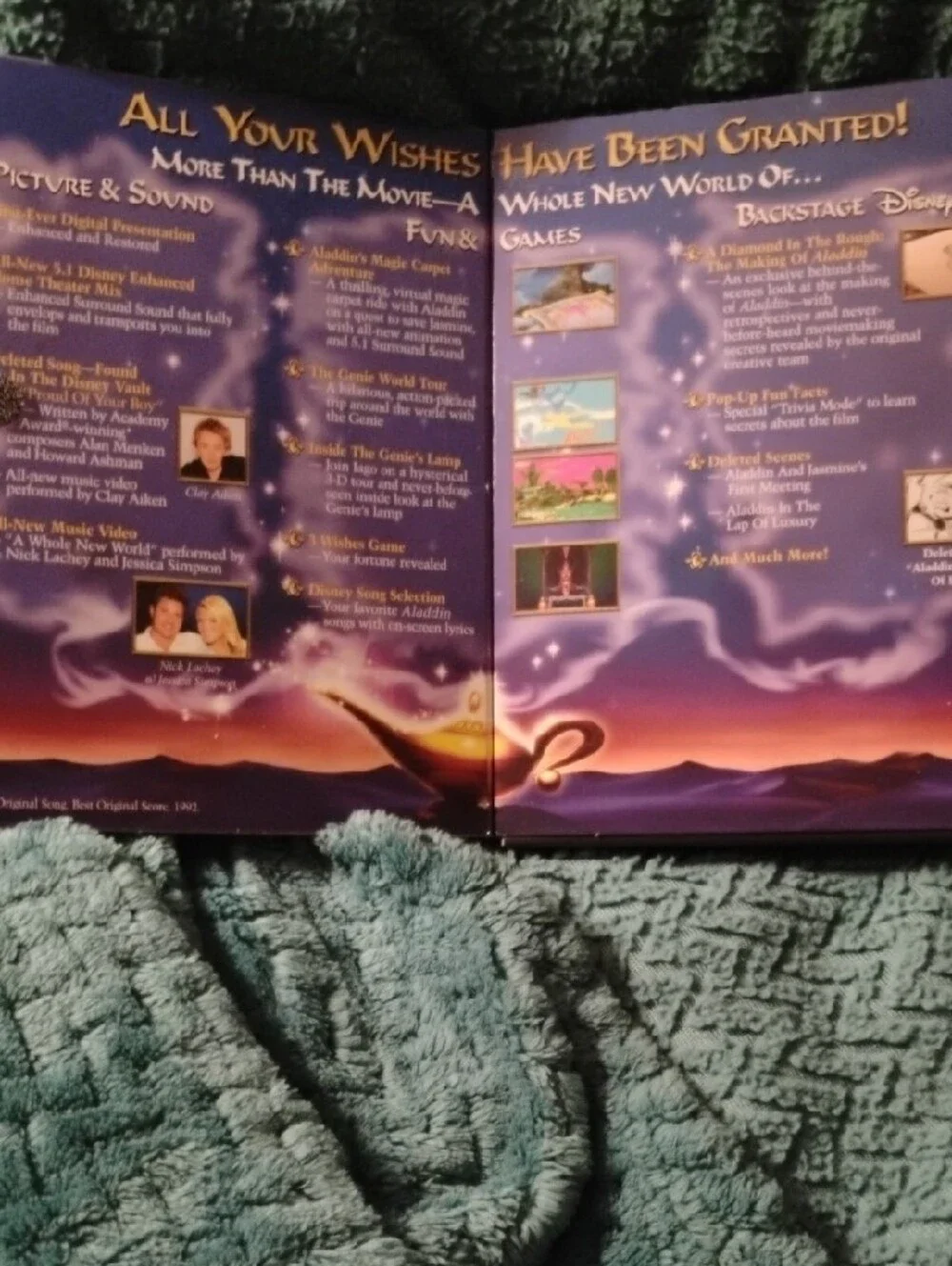 Disney Aladdin DVD Back Cover – Purple and Blue Artwork